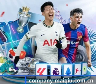 company-maiqiu.com.cn APP